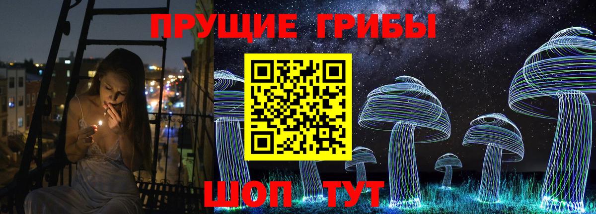 Псилоцибиновые грибы Cubensis  Вход с VPN  где найти наркотики  Дмитров 